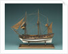 The 'Tartar' (1734) by unknown