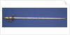 Honourable East India Company sword by unknown