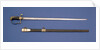 Stirrup hilted sword by Prosser