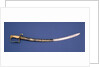 Royal Marines sword by unknown