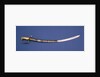 Royal Marines sword by unknown