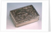 Freedom box by T P