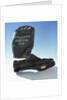 Sea boot from Franklin's last expedition which was retrieved in 1879 by unknown