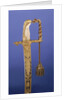 Lloyds Patriotic Fund £50 presentation sword by R. Teed