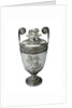 Trafalgar Vase by Digby Scott