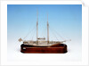 'Mavourneen', starboard broadside by Francis Meli