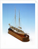 'Mavourneen', starboard by Francis Meli