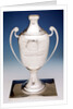 Davis Challenge cup by T S