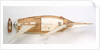 'Privateer', overhead deck view by J. A. Thompson