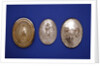 Arm badges by W. Mann