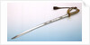 Solid half-basket hilted sword by unknown