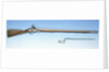 Flintlock musket by Unknown