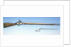 Flintlock musket by Unknown
