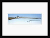 Flintlock musket by Unknown