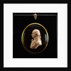 Portrait plaque depicting Vice-Admiral Horatio Nelson (1758-1805) by Catherine Andras