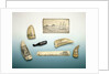 Engraved sperm whale's tooth by unknown