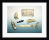 Engraved sperm whale's tooth by unknown