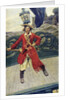 Pirate captain on deck by Howard Pyle