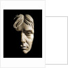 Plaster cast of  Nelson's face made in 1800 (Life mask) by unknown