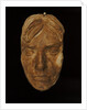 Plaster cast of Nelson's face made in 1800 (Life mask) by unknown