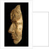 Plaster cast of  Nelson's face made in 1800 (Life mask) by unknown