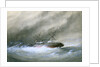 Wreck of the Royal Mail 'Rhone' by William Frederick Mitchell