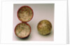 Sphere and case by George Adams
