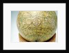 Cartouche in Indian Ocean by John Cary