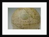 Cartouche in North Pacific Ocean by John Miller