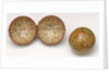 Sphere and case by Charles Smith & Son