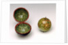 Sphere and case by Thomas Patrick