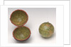 Sphere and case by Lane