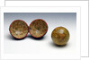 Sphere and case by Charles Smith & Son