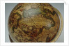 Cartouche below Cetus by Peter Anich