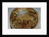 Cartouche below Cetus by Peter Anich