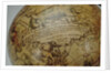 Inscription below Cetus by Peter Anich