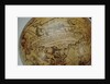 Inscription below Cetus by Peter Anich