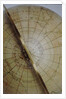 Meridian semi-circle by William Bardin