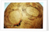 Cartouches in southern continent by Willem Jansz Blaeu