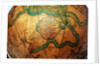 Cartouche below Cetus by Johann Gabriel Doppelmayr