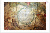Inscription below Cetus by Georg Christoph Eimmart