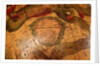 Cartouche below Cetus by Gerard Valk