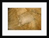 Cartouche in Pacific Ocean by Benjamin Martin