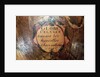 Cartouche below Hydra by Jacques Hardy