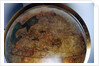 North America by Gerard Mercator