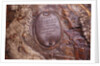 Cartouche North of Pegasus by Erhard Weigel