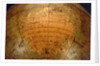 Title in South Pacific Ocean by Jean Antoine Nollet