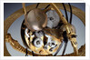 Winding wheels of celestial clockwork globe by Isaac Habrecht II