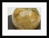 Inscription in North Pacific Ocean by Newton & Co.