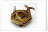 Augsburg dial by Charles Adrien Dubois